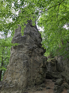 Zauberwald-Orchideen-Weg