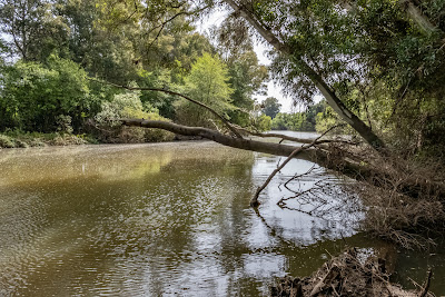 Corredor Verde Dos Bahías
