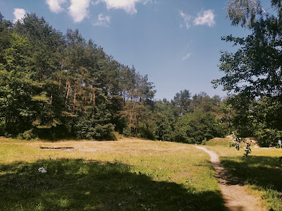 Leśna Polana