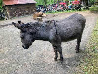 Kobelt Zoo, Gesellschaft Prof. Dr. W. Kobelt e. V.