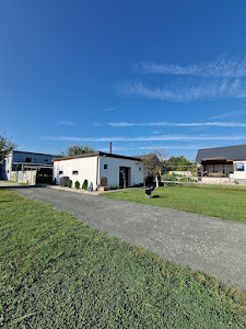 Camping Tranzit Deva