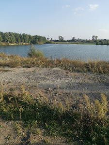 Staw Franki