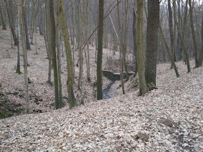 Chvojnice