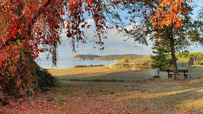 Baratti and Populonia Archaeological Park