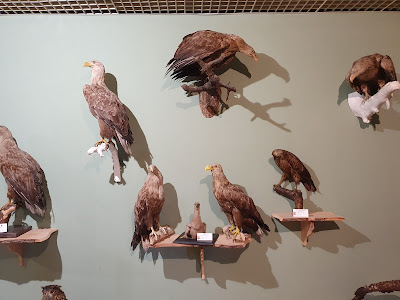 Muzeum Przyrodnicze WPN