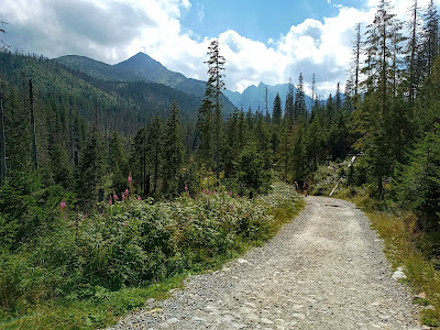Black hiking trail: Brzeziny – Murowaniec