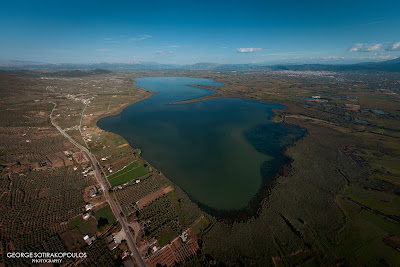 Lake Lysimachia