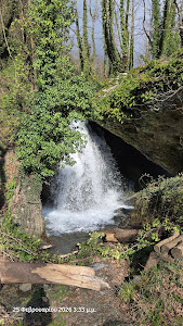 Nika Spring