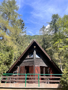 CAMPO TRES