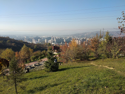 Forest Park Mojmilo
