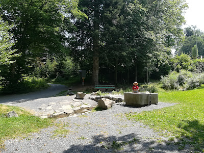 Feuerstelle Waldpark