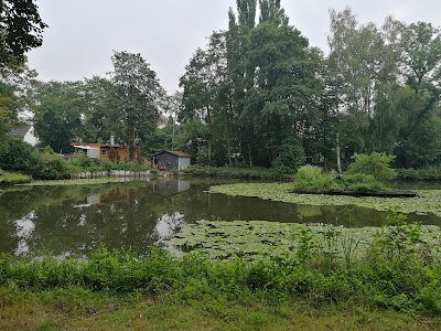 Angelteiche am 'Broicher Weiher'