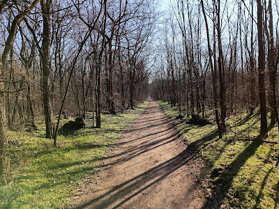 Keresztúri erdő