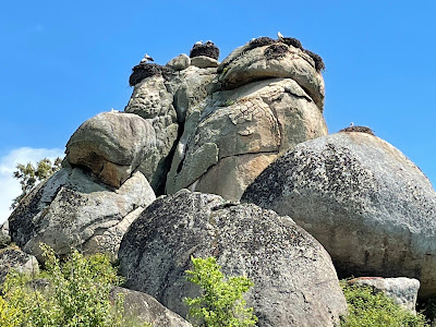 Natural Monument Los Barruecos