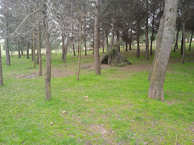 Merendero Esparrales