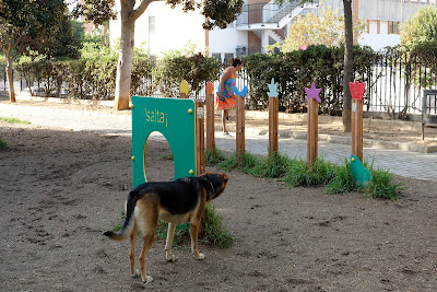 Parque Canino Parque del Oeste