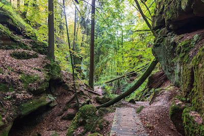 Massendorfer Schlucht