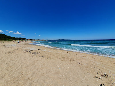 Coral Beach