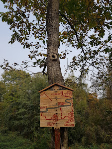 Area pic-nic "Saule"
