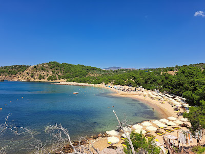 Rosonkremos Beach