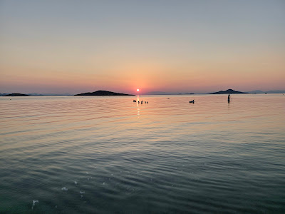 Playa Optimist