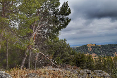 Centro de ocio natural El Neveral