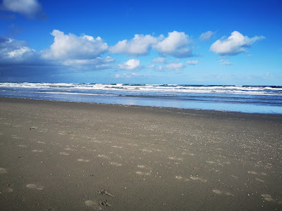 Beach entrance Arendsduin