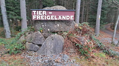 Tier-Freigelände im Nationalparkzentrum Lusen