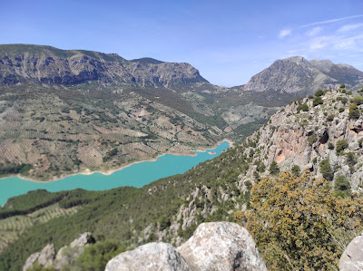 Matamulos