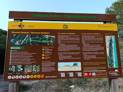 Ruta Botànica de l’Albufera de València