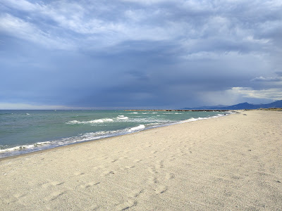 Plage sauvage