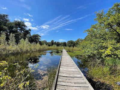 De Maasduinen National Park