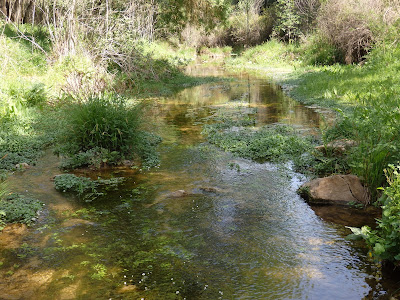 Sendero Guadalora
