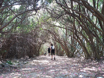 Sendero Adelfal de Cuadros
