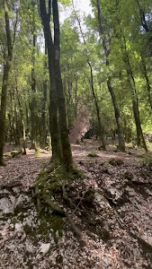 Area Picnic Monte Lapillo