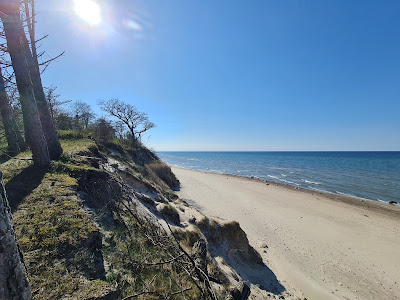 Pleśna Plaża