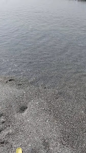 Camping 'Lido Dei Pini'