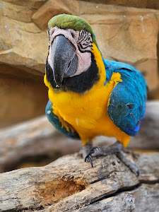 ZOO EkoPark