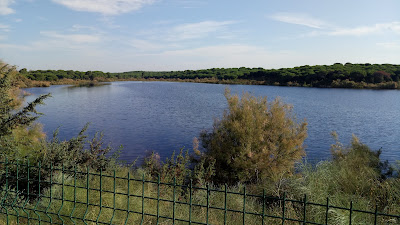 Mirador Laguna de El Portil