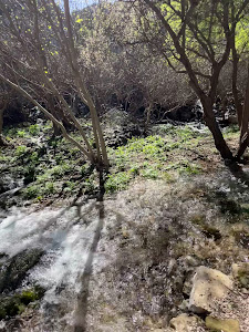 Nacimiento del Río Cerezo