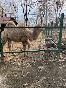 Grădina Zoologică Bucov (Ploiești)