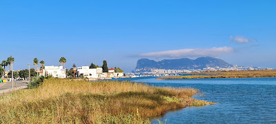 Paraje natural de las marismas del Río Palmones