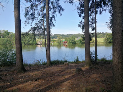 Rybník Tasice