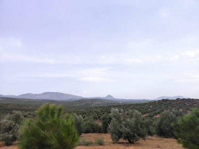 Mirador de la Torrecilla