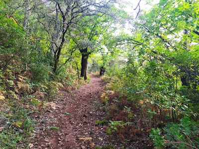Sendero a Fuenteheridos