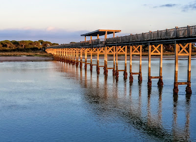 Toruños y la Algaida Park