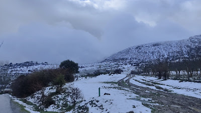 Puerto El Purche (Collado del Muerto)
