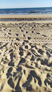 Playa de Mazagón