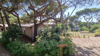 The Camping Capannino
