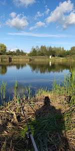 Staw (łowisko "Źródlana")